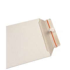 Конверт из картона 24×31,5 см, А4, с клеевым клапаном, белый - фото 4