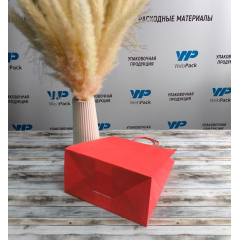 Крафт-пакет с кручеными ручками, 22×12×25 см, 80 г/м², красный - фото 3